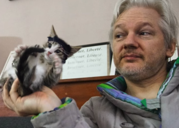 /VIDEO/ VIKILIKS SE OGLASIO: Asanžov najbolji drug tokom “zatočeništva” u ambasadi Ekvadora JE NA SIGURNOM!