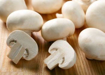 PEČURKE ŠTITE MOZAK: Jedna od najpotcenjenijih namirnica u stvari je SUPERJELO!