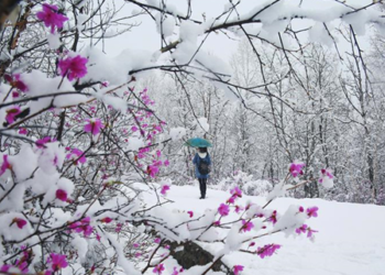 OPREZ! SNEG U MAJU! Hladan talas arktičkog vazduha doneće ZAHLAĐENJE VEĆEM DELU EVROPE, EVO DO KADA ĆE TRAJATI