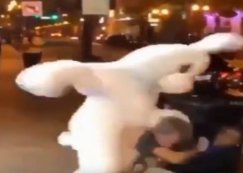 /VIDEO/ GRAĐANI U ŠOKU! MOĆNI BELI ZEKA PREBIJA SILEDŽIJU: Stvorio se niotkud nasred ulice i SPASAO ŽENU OD NAPADAČA!