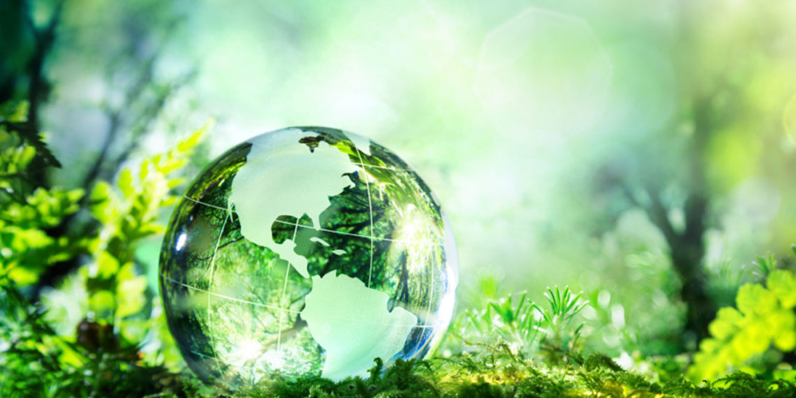 /VIDEO/ ŽIVI SVET UGROŽENIJI NEGO IKADA: Milioni tona plastike dospevaju u polja, šume i okeane, ZAGAĐENJE PRETI ZDRAVLJU LJUDI I ŽIVOTINJA