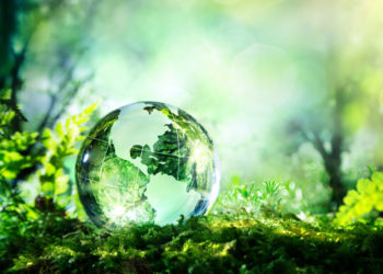 /VIDEO/ ŽIVI SVET UGROŽENIJI NEGO IKADA: Milioni tona plastike dospevaju u polja, šume i okeane, ZAGAĐENJE PRETI ZDRAVLJU LJUDI I ŽIVOTINJA