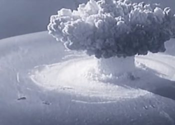 /VIDEO/ DUBOKO ZAGAĐENJE! 11 kilometara ispod površine Zapadnog Pacifika pronađene životinje pune RADIOAKTIVNOG “BOMBA UGLJENIKA”!