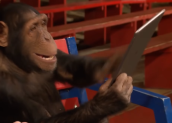 /VIDEO/ I MAJMUN ZNA DA KORISTI INSTAGRAM: Neverovatan video snimak u trenu obišao svet!