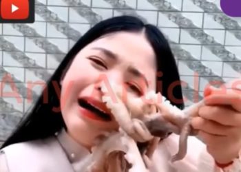 /VIDEO/ KAD LOVAC POSTANE LOVINA: Živog oktopoda pred kamerom htela da pojede I NIJE SE DOBRO PROVELA