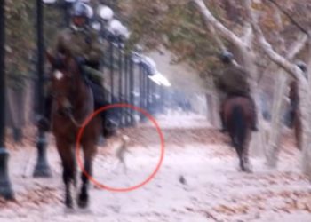 /VIDEO/ ŠOK U SANTJAGU, VANZEMALJCI SU MEĐU NAMA: Misterija koja traje, ovo je istorijski dokaz postojanja VANZEMALJSKOG ŽIVOTA?!