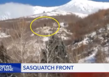 /VIDEO/ LOVCI SE SLEDILI OD ŠOKA, NALETELI NA ČOVEKOLIKU ŽIVOTINJU: U trenu legenda je postala stvarnost, BIGFUT JE STAJAO PRED NJIMA!