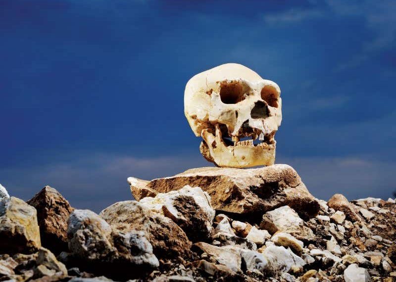 /VIDEO/ SAD ZNAMO DA NIŠTA NE ZNAMO: Otkriće “Jame kostiju” u Španiji POLJULJALO SPOZNAJE O EVOLUCIJI ČOVEKA!