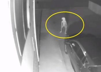 /VIDEO/ STVORENJE IZ MRAKA PRED ULAZNIM VRATIMA: Ovaj snimak nadzorne kamere pregledan je više od 9 miliona puta I SVI SU SE ISTO PITALI!