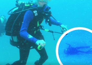 /VIDEO/MISTERIJA PLAVE RUPE, POTRESNA ISPOVEST “SKUPLJAČA KOSTIJU”: Unutra je groblje ronilaca, to je MESTO KOJE GUTA LJUDE?!