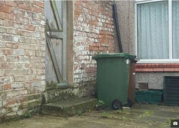 /FOTO/ PAŽNJA! U OVOM DVORIŠTU SE SAKRILA MAČKA I NIKO NE MOŽE DA JE PRONAĐE: Izludela je hiljade “tragača” pre vas, DA LI JE VI VIDITE?!