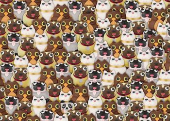 /FOTO/ GDE SE SAKRILA PANDA: Nestala je u gomili kuca, maca i sovica, da li možete DA JE PRONAĐETE?