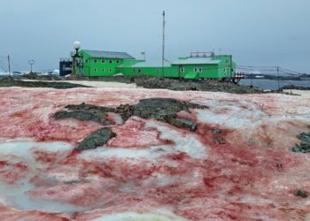 JEZIVO, KRVAVI SNEG NA ANTARKTIKU: Ukrajinski istraživači u šoku kao da su zalutali u scenu horor filma, IPAK UBRZO JE STIGLO OBJAŠNJENJE?!