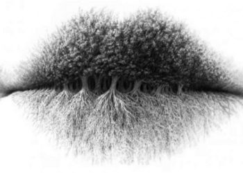 OBAVEZNO POGLEDAJTE OVU FOTOGRAFIJU: Ono što prvo na njoj budete videli REĆI ĆE VAM SVE O VAMA!