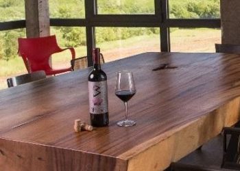 VINO ZA PONOS SRBIJE: Četiri zlata i srebro za Virtus, sa svetskog takmičenja kući se vratio UZDIGNUTOG ČELA!