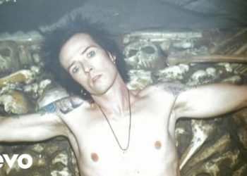 VELVET GUN NO ROSES?!