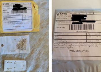 PANIKA U AMERICI I ENGLESKOJ: Građanima na kućne adrese stižu iz Kine čudni nenaručeni paketi SA MISTERIOZNIM SEMENKAMA, NIKO NE ZNA KO IH ŠALJE?!