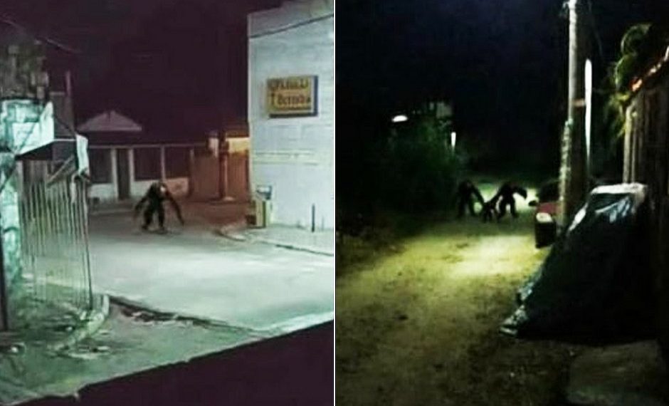MAJMUNOLIKA ZVER UOČENA U BRAZILU! Stanovnike ostrva Itapariki usred policijskog časa prestravile fotografije NEOBIČNIH BIĆA koja noću lutaju PUSTIM ULICAMA?!