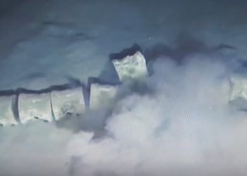 OGROMNA ZMIJA PRONAĐENA NA DNU OKEANA! Video snimak kostura nepoznatog čudovišta nastao je pre tri godine, ALI JE TEK SADA POSTAO DOSTUPAN JAVNOSTI!