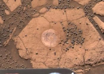 SVEMIRSKE PEČURKE, DOKAZ VANZEMALJSKOG ŽIVOTA?! O njihovom poreklu vode se žestoke rasprave, ako nešto liči na život, NE MORA DA ZNAČI DA TO I JESTE?!