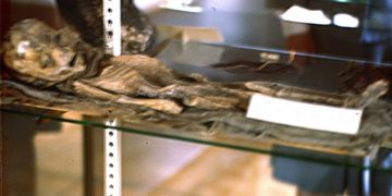 NOVA SAZNANJA O PADU KOSMIČKOG BRODA U ROZVELU! Očevidac incidenta iz prve ruke svedočio u pismu koje je dugo krio njegov sin: VIDEO SAM TELA TROJICE VANZEMALJACA!