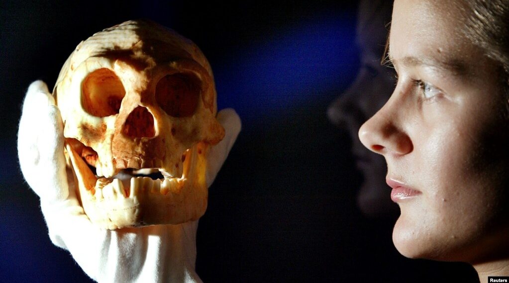 HOBITI JOŠ UVEK HODAJU DŽUNGLAMA INDONEZIJE! Naučnik objavio knjigu i podigao veliku prašinu, a niko ne može da dokaže DA NIJE U PRAVU?!