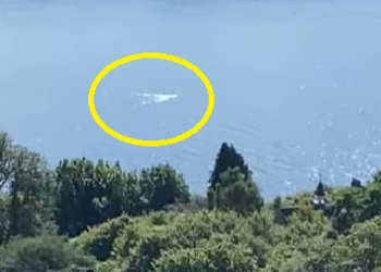 ČUDOVIŠTE IZ LOH NESA AKTIVNIJE NEGO IKAD PRE? Žitelj jednog sela nedaleko od jezera uspeo da snimi MISTERIOZAN INCIDENT!
