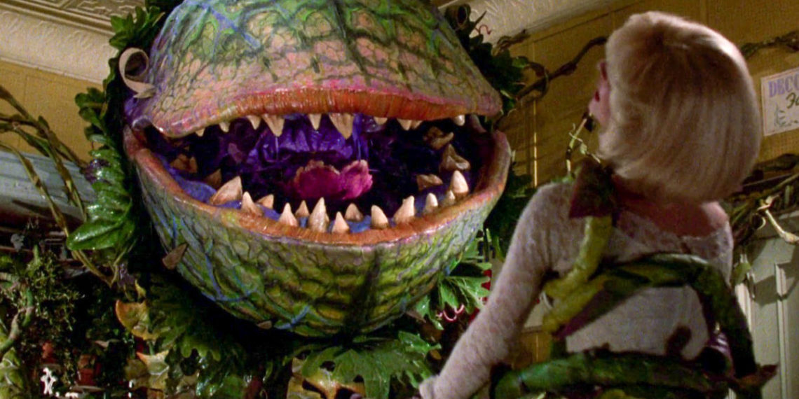 BILJKE VRIŠTE OD BOLOVA KADA IH SEKU?! Neverovatno saznanje, neke životinje ih čuju ONE OSEĆAJU!