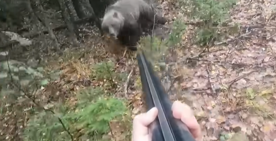 U JEZIVOM NAPADU ZVERI NIJE UČINIO POGREŠAN POTEZ! Suočen sa mečkom unezverenom od straha za mladunce sve je izdržao i ZADOBIO POŠTOVANJE MILIONA (VIDEO)